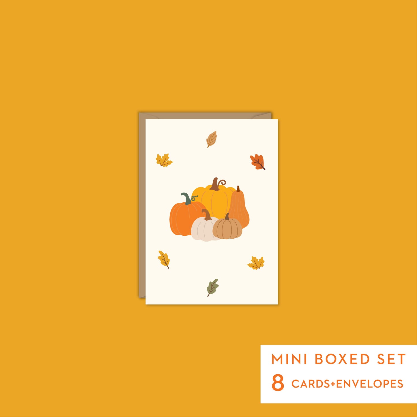 PUMPKINS THANKSGIVING CARD - Mini Boxed Set of 8 cards