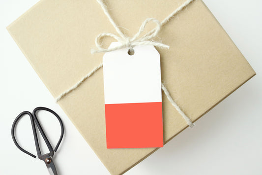 RED COLOR BLOCK Gift Tags, Set of 10