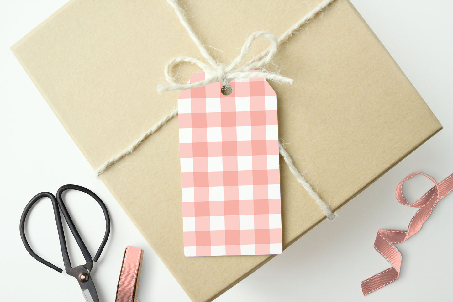 PINK GINGHAM CHECKS Gift Tags, Set of 10